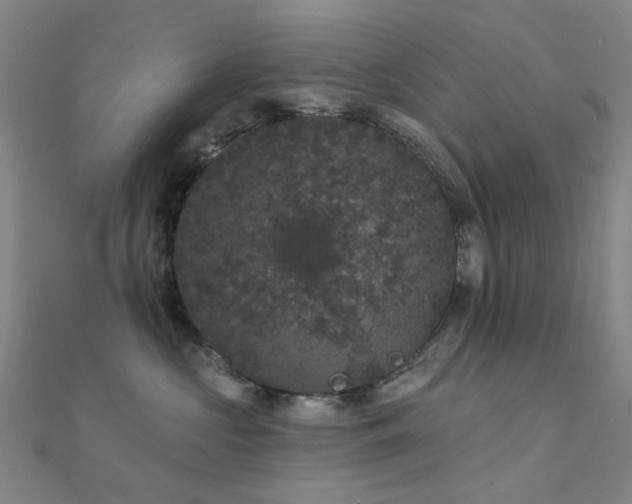 X0000112360573200908131458