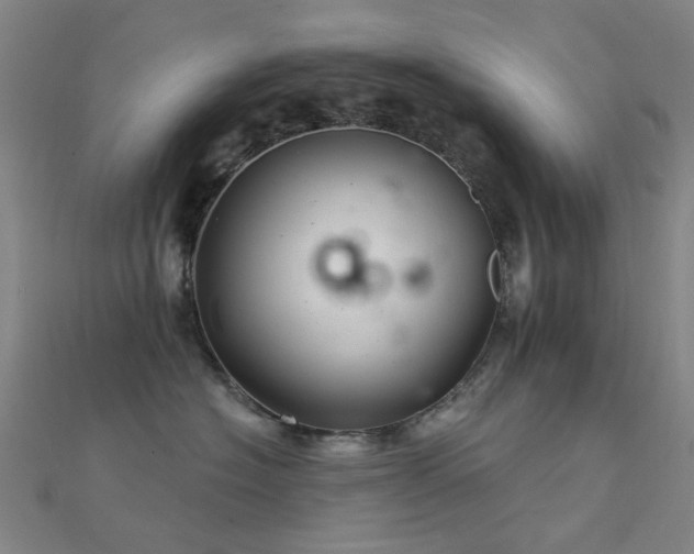 X0000112360574200908131458