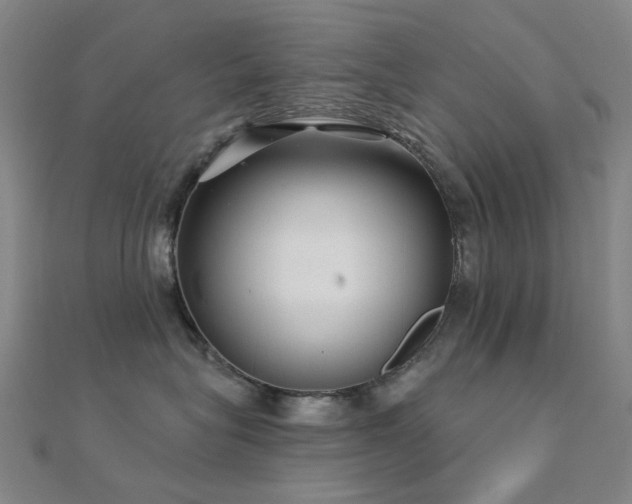 X0000112360575200908131458