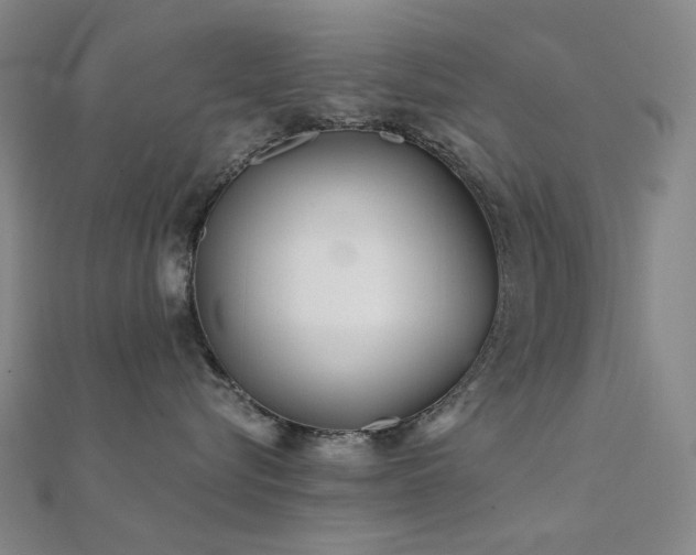 X0000112360576200908131458