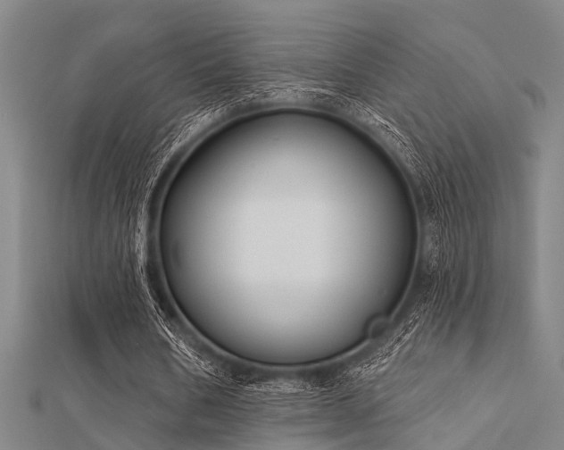 X0000112360578200908131458