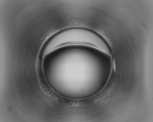 X0000112360579200908131458