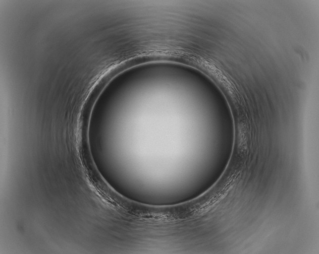 X0000112360580200908131458