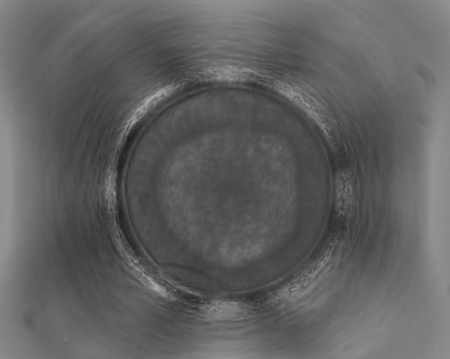 X0000112360581200908131458