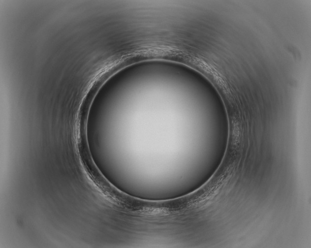X0000112360582200908131458