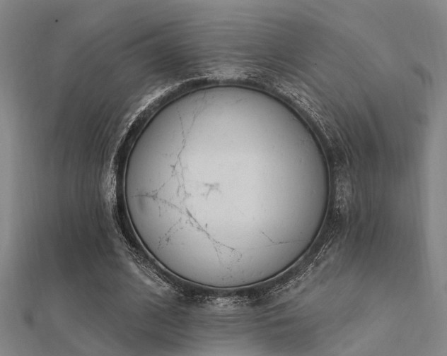 X0000112360584200908131458