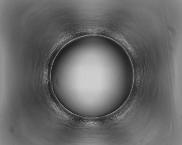 X0000112360585200908131457
