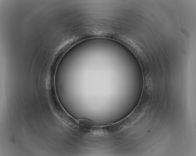 X0000112360587200908131457