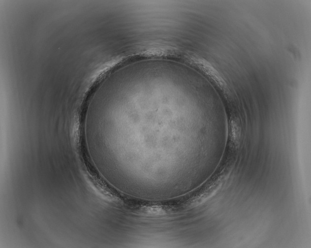 X0000112360588200908131457