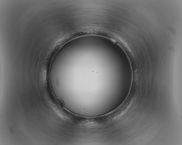 X0000112360589200908131457