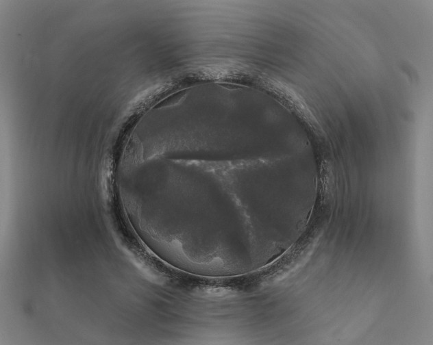 X0000112360590200908131457