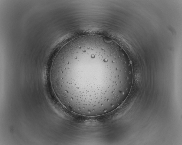 X0000112360591200908131457