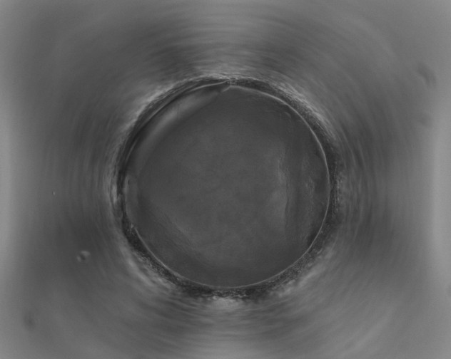 X0000112360592200908131457