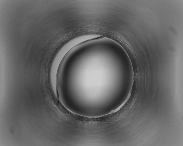 X0000112360593200908131457