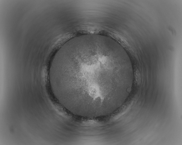 X0000112360594200908131457