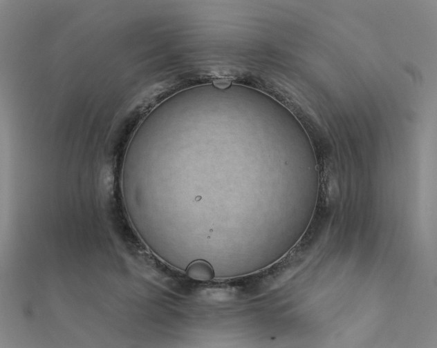 X0000112360595200908131457