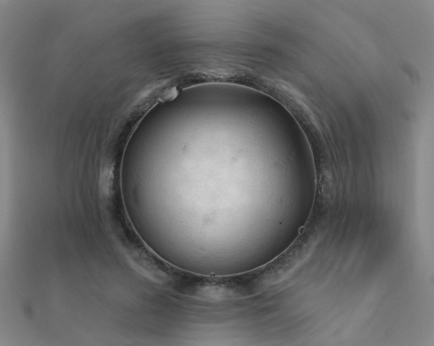 X0000112360596200908131457