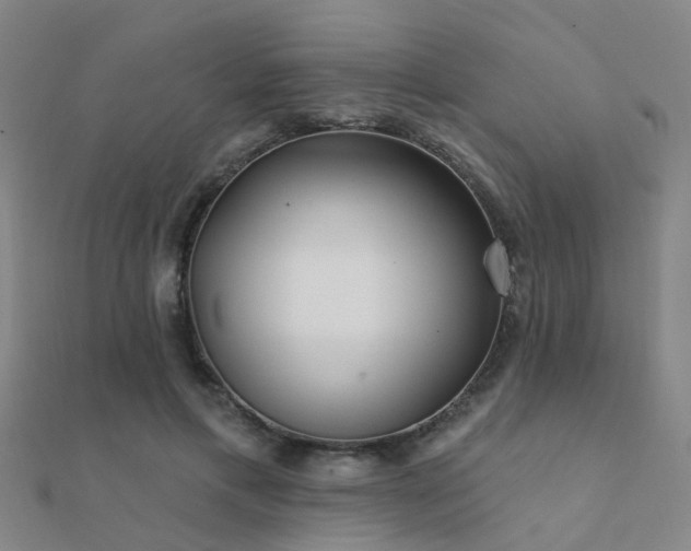 X0000112360597200908131457
