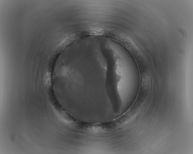 X0000112360598200908131457