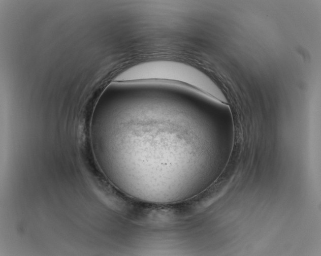 X0000112360599200908131457