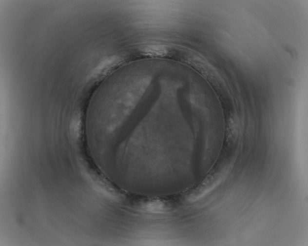 X0000112360600200908131457