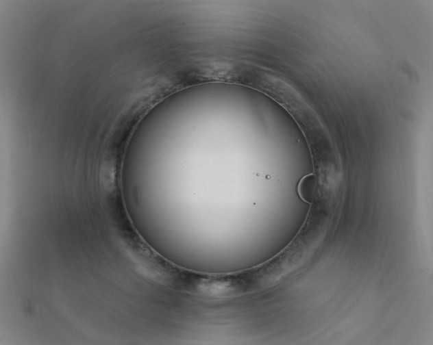 X0000112360602200908131457
