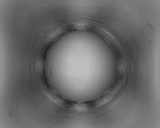 X0000112360603200908131457