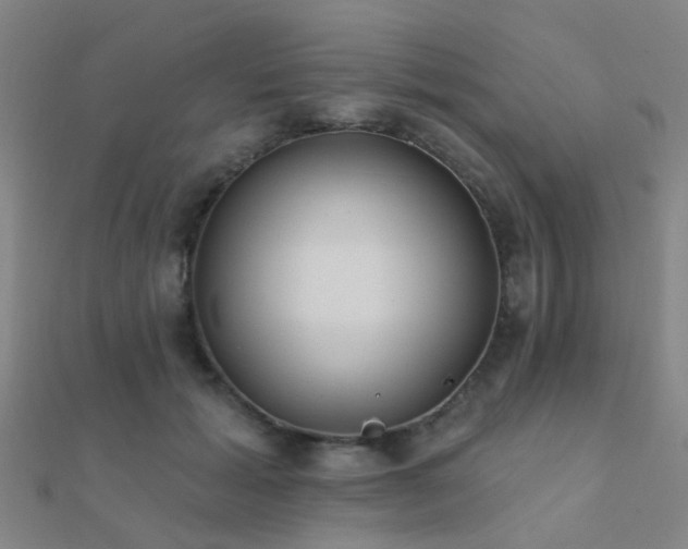 X0000112360605200908131457