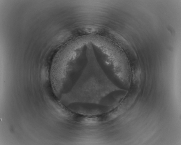 X0000112360606200908131457
