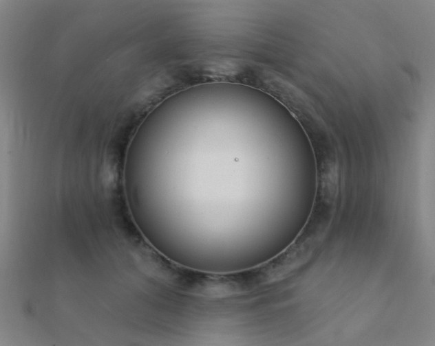 X0000112360608200908131457