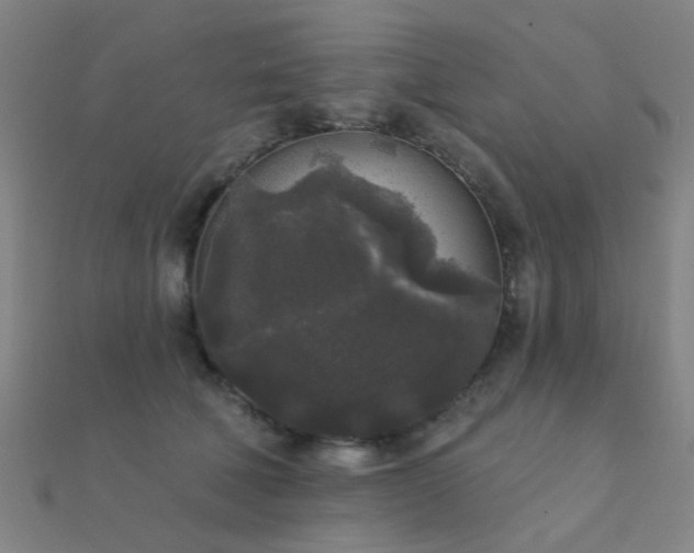 X0000112360610200908131457