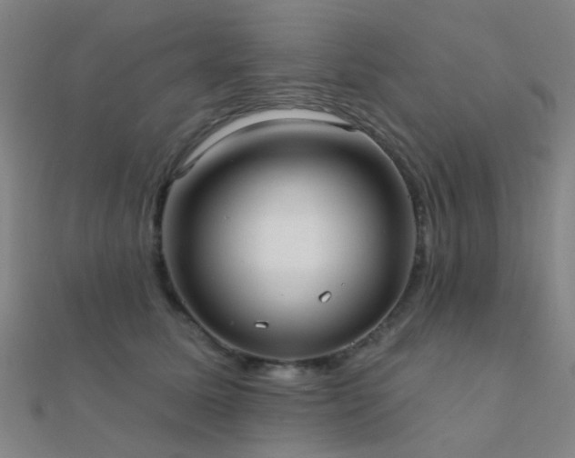 X0000112360611200908131457
