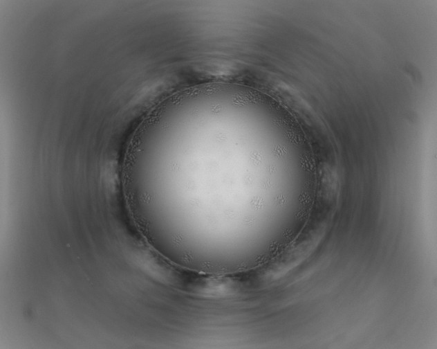 X0000112360612200908131457