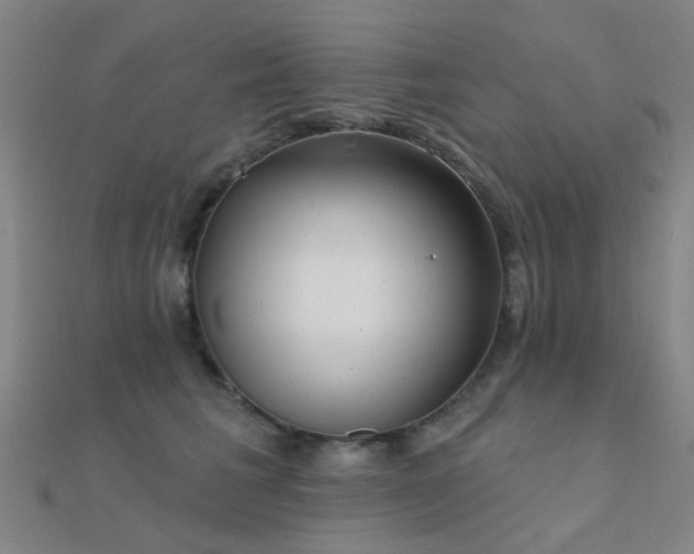 X0000112360613200908131457