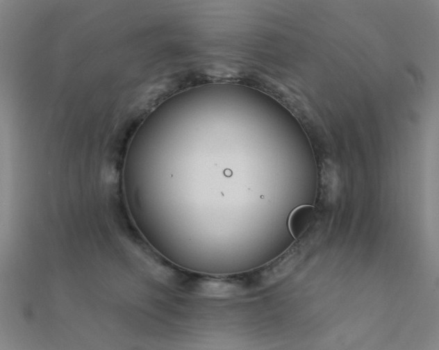 X0000112360614200908131457