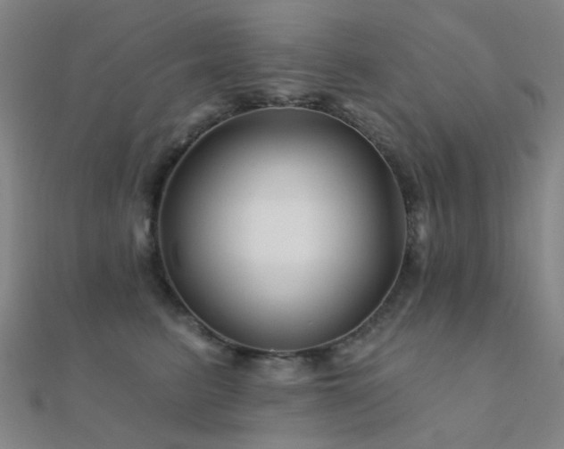 X0000112360615200908131457