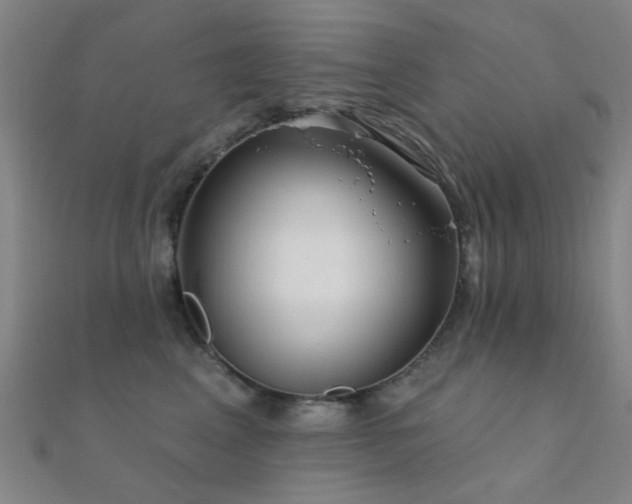 X0000112360617200908131457