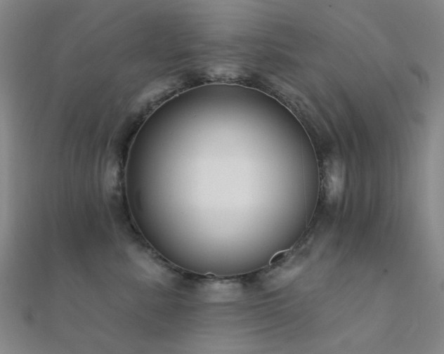 X0000112360619200908131457