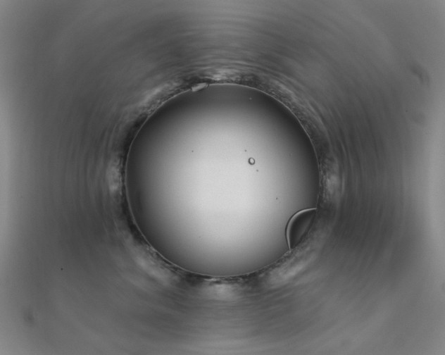 X0000112360620200908131457