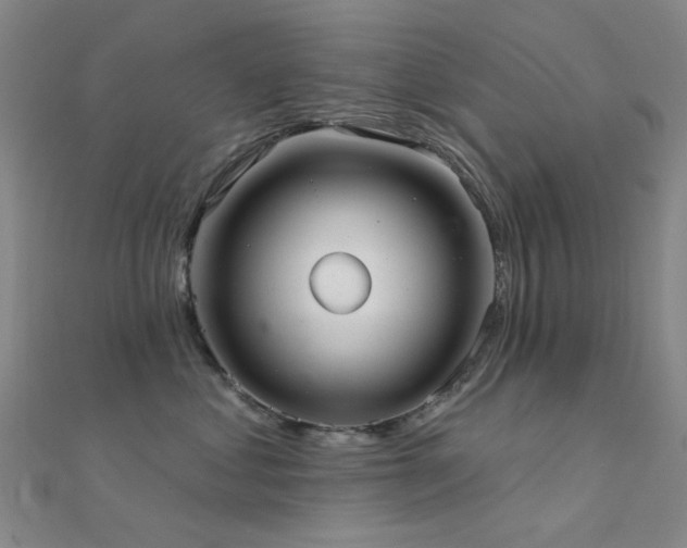 X0000112360621200908131457