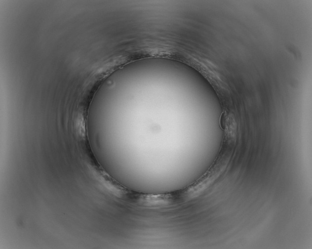 X0000112360622200908131457
