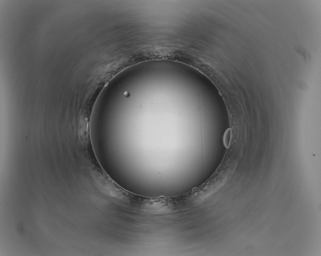 X0000112360624200908131457
