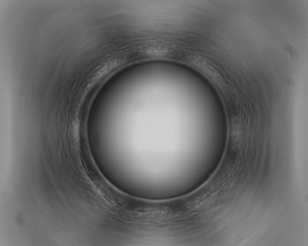 X0000112360626200908131456