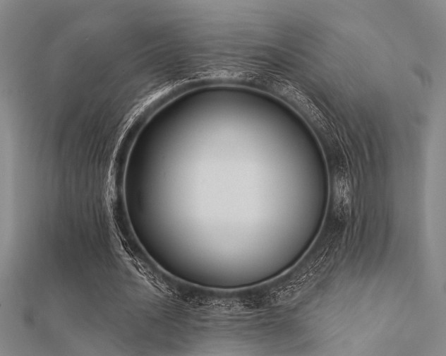 X0000112360628200908131456