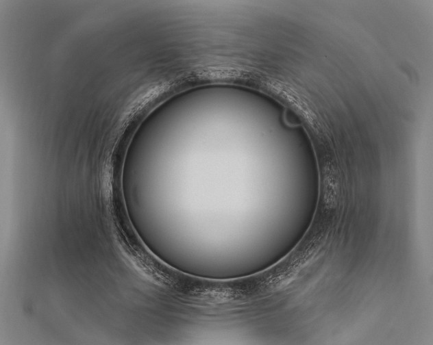 X0000112360631200908131456