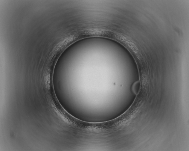 X0000112360633200908131456