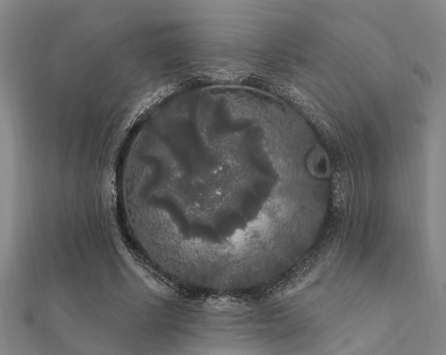X0000112360634200908131456