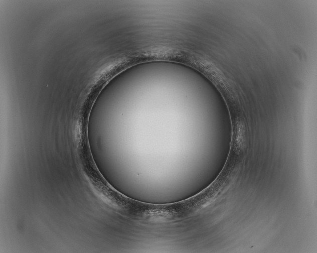 X0000112360636200908131456