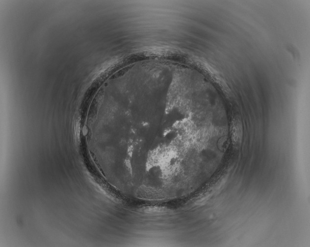 X0000112360637200908131456
