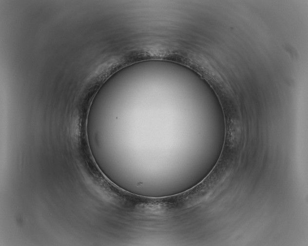 X0000112360639200908131456